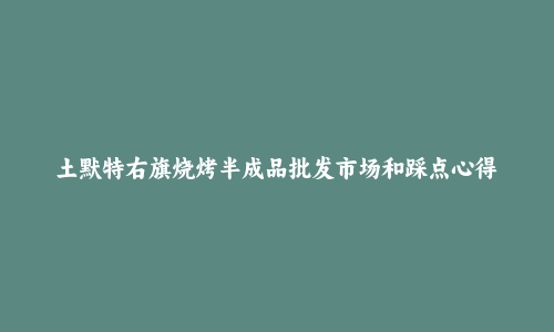 土默特右旗烧烤半成品批发市场和踩点心得