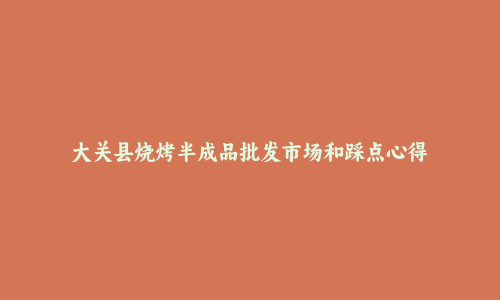 大关县烧烤半成品批发市场和踩点心得