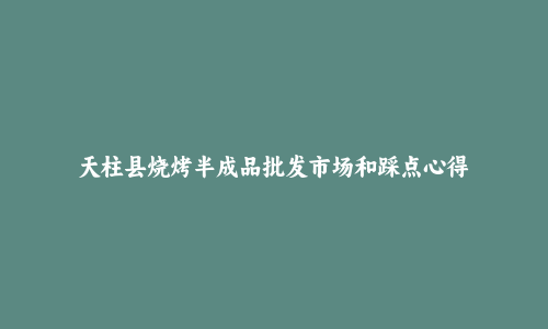 天柱县烧烤半成品批发市场和踩点心得