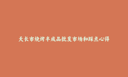 天长市烧烤半成品批发市场和踩点心得