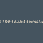 太白县烧烤半成品批发市场和踩点心得