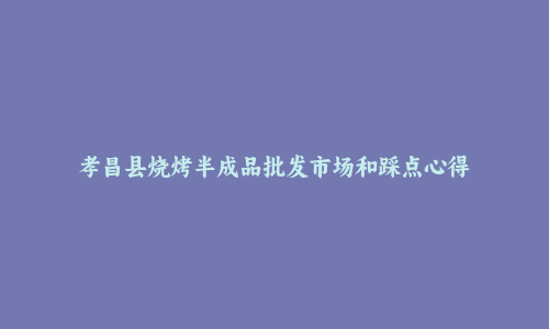 孝昌县烧烤半成品批发市场和踩点心得