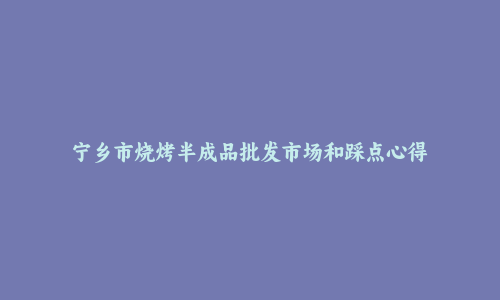 宁乡市烧烤半成品批发市场和踩点心得