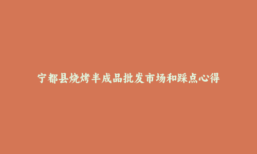 宁都县烧烤半成品批发市场和踩点心得