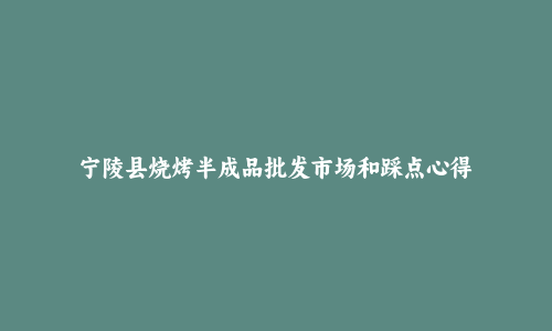 宁陵县烧烤半成品批发市场和踩点心得