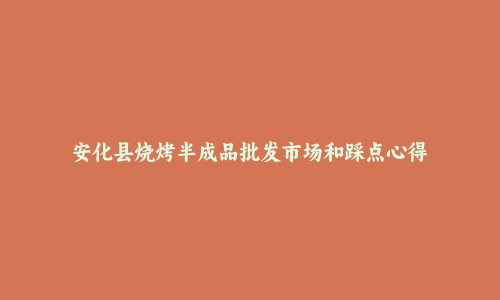 安化县烧烤半成品批发市场和踩点心得