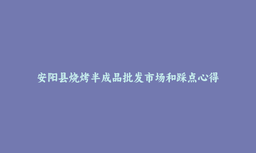 安阳县烧烤半成品批发市场和踩点心得