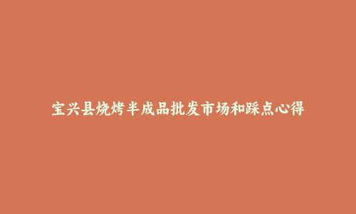 宝兴县烧烤半成品批发市场和踩点心得
