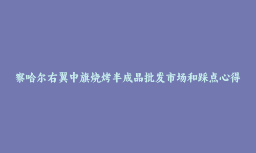 察哈尔右翼中旗烧烤半成品批发市场和踩点心得