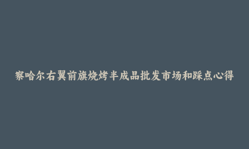 察哈尔右翼前旗烧烤半成品批发市场和踩点心得