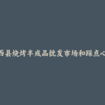 岳西县烧烤半成品批发市场和踩点心得