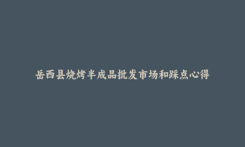 岳西县烧烤半成品批发市场和踩点心得