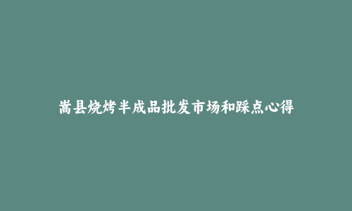 嵩县烧烤半成品批发市场和踩点心得