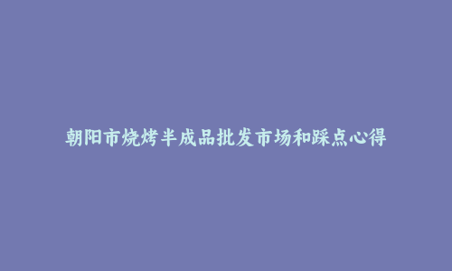 朝阳市烧烤半成品批发市场和踩点心得