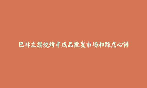 巴林左旗烧烤半成品批发市场和踩点心得