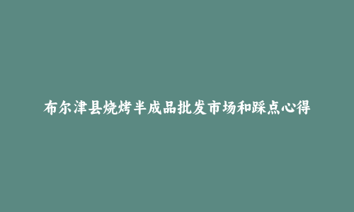 布尔津县烧烤半成品批发市场和踩点心得
