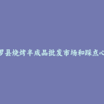 平罗县烧烤半成品批发市场和踩点心得
