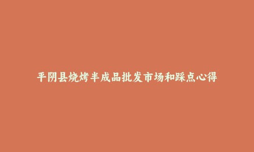 平阴县烧烤半成品批发市场和踩点心得