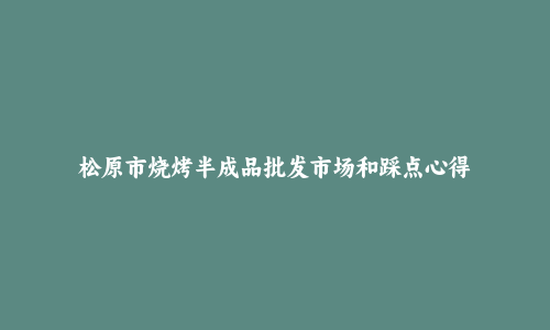 松原市烧烤半成品批发市场和踩点心得