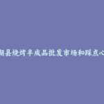 建湖县烧烤半成品批发市场和踩点心得