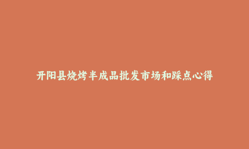 开阳县烧烤半成品批发市场和踩点心得
