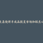 彝良县烧烤半成品批发市场和踩点心得
