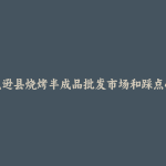 托克逊县烧烤半成品批发市场和踩点心得