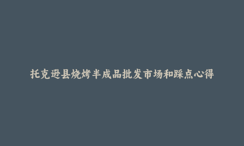 托克逊县烧烤半成品批发市场和踩点心得