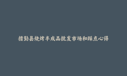 措勤县烧烤半成品批发市场和踩点心得