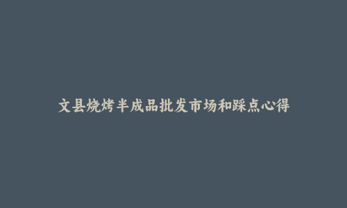 文县烧烤半成品批发市场和踩点心得