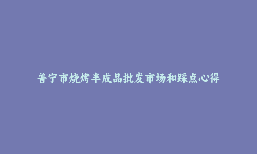 普宁市烧烤半成品批发市场和踩点心得