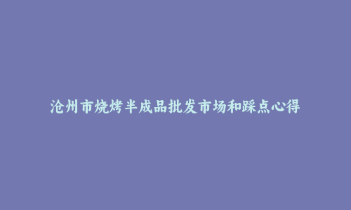 沧州市烧烤半成品批发市场和踩点心得