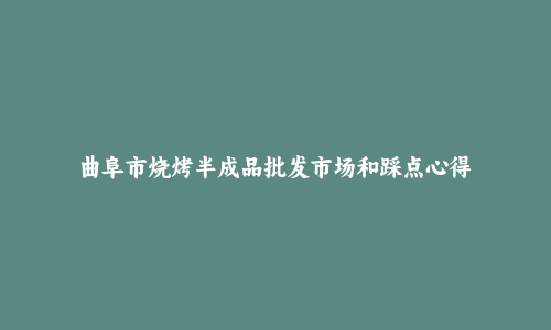 曲阜市烧烤半成品批发市场和踩点心得