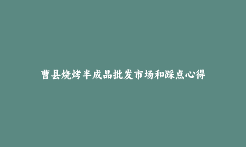 曹县烧烤半成品批发市场和踩点心得