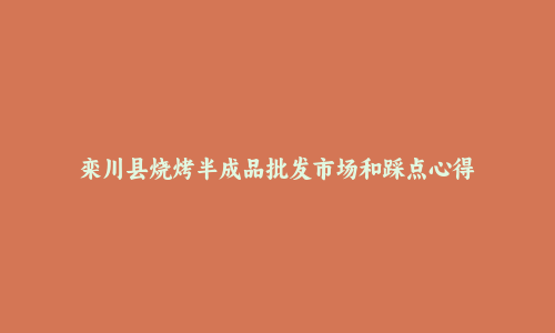 栾川县烧烤半成品批发市场和踩点心得