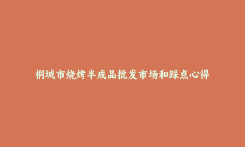 桐城市烧烤半成品批发市场和踩点心得
