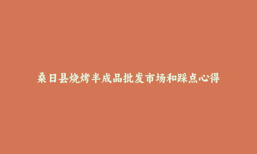 桑日县烧烤半成品批发市场和踩点心得