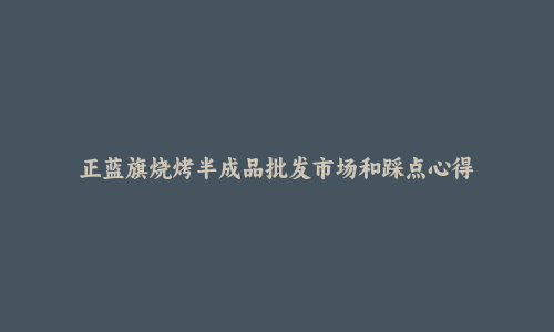 正蓝旗烧烤半成品批发市场和踩点心得
