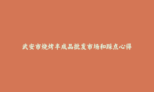 武安市烧烤半成品批发市场和踩点心得