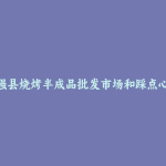 武强县烧烤半成品批发市场和踩点心得