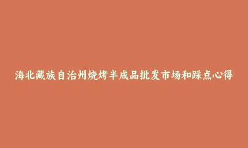 海北藏族自治州烧烤半成品批发市场和踩点心得