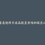 永善县烧烤半成品批发市场和踩点心得