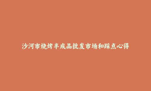 沙河市烧烤半成品批发市场和踩点心得