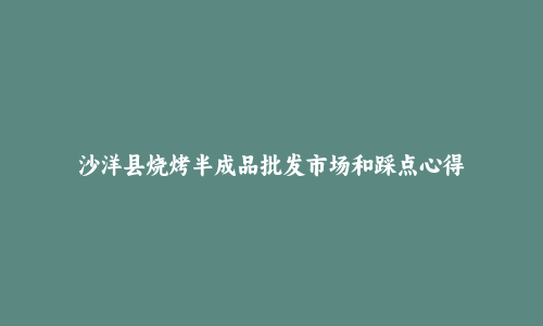 沙洋县烧烤半成品批发市场和踩点心得