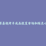 海原县烧烤半成品批发市场和踩点心得
