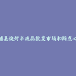 漳浦县烧烤半成品批发市场和踩点心得