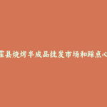 炉霍县烧烤半成品批发市场和踩点心得