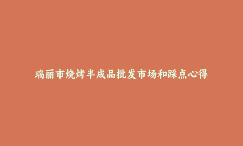 瑞丽市烧烤半成品批发市场和踩点心得