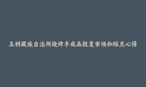 玉树藏族自治州烧烤半成品批发市场和踩点心得