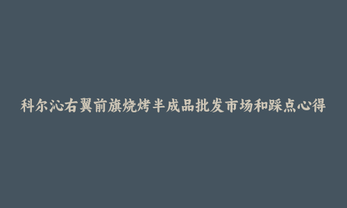 科尔沁右翼前旗烧烤半成品批发市场和踩点心得